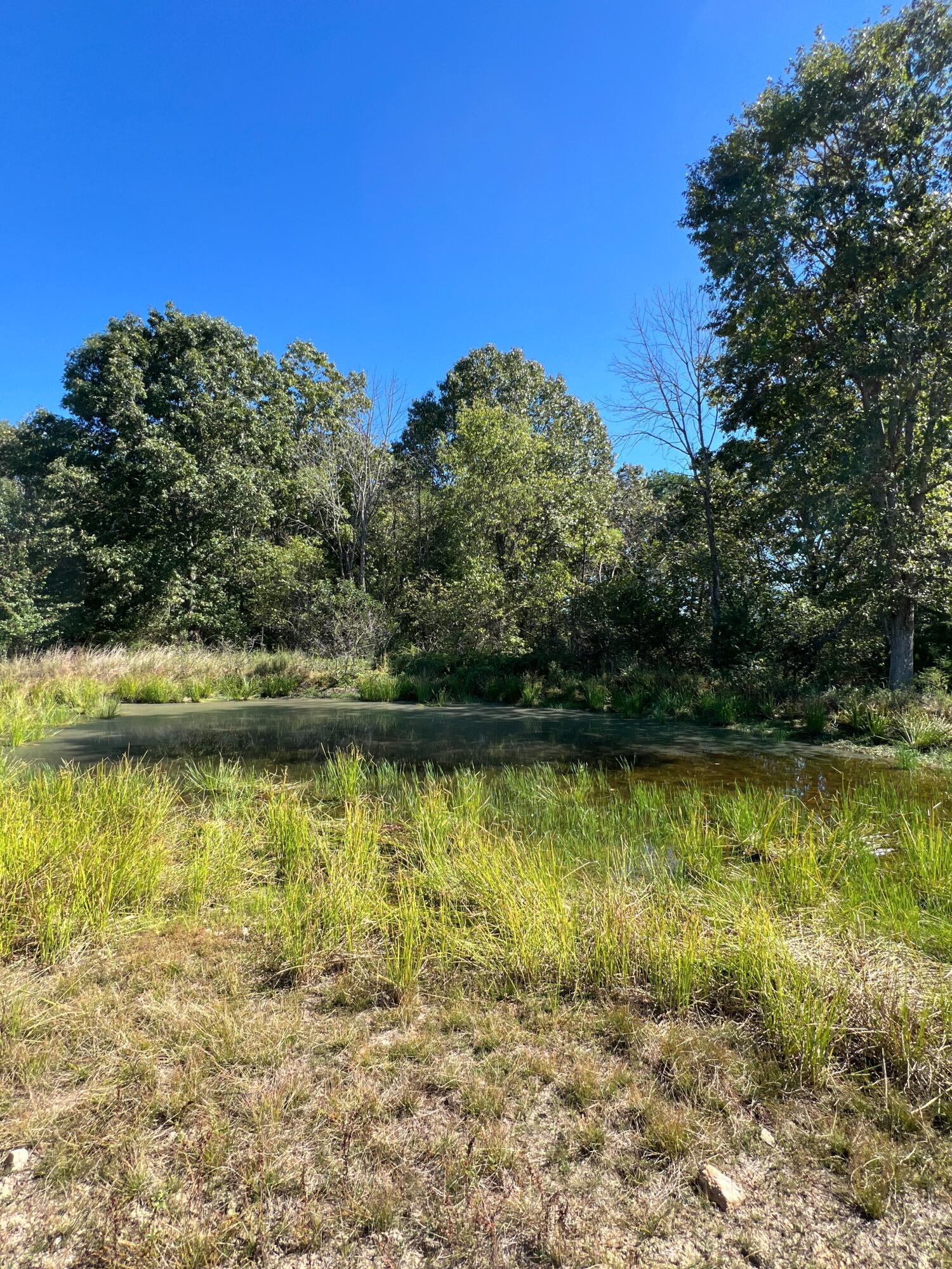 Photo 109 - Land for sale – 34771  Mo-14   Ava, MO