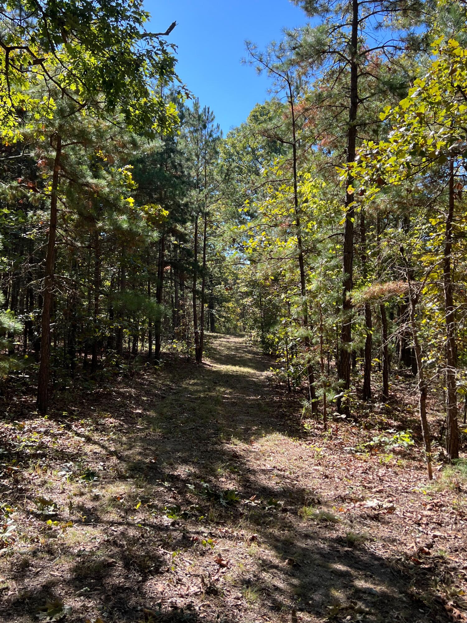 Photo 82 - Land for sale – 34771  Mo-14   Ava, MO