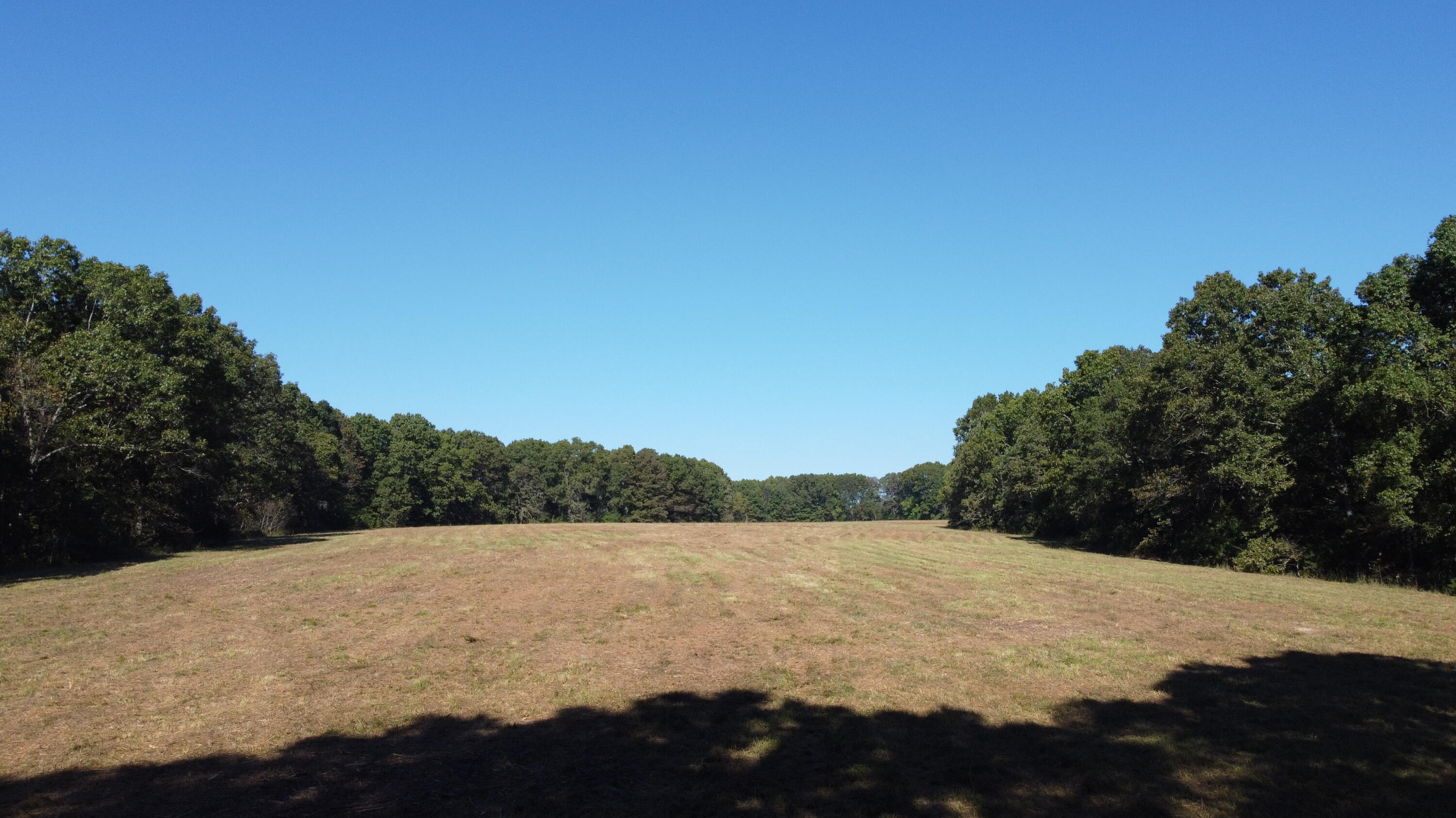 Photo 33 - Land for sale – 34771  Mo-14   Ava, MO