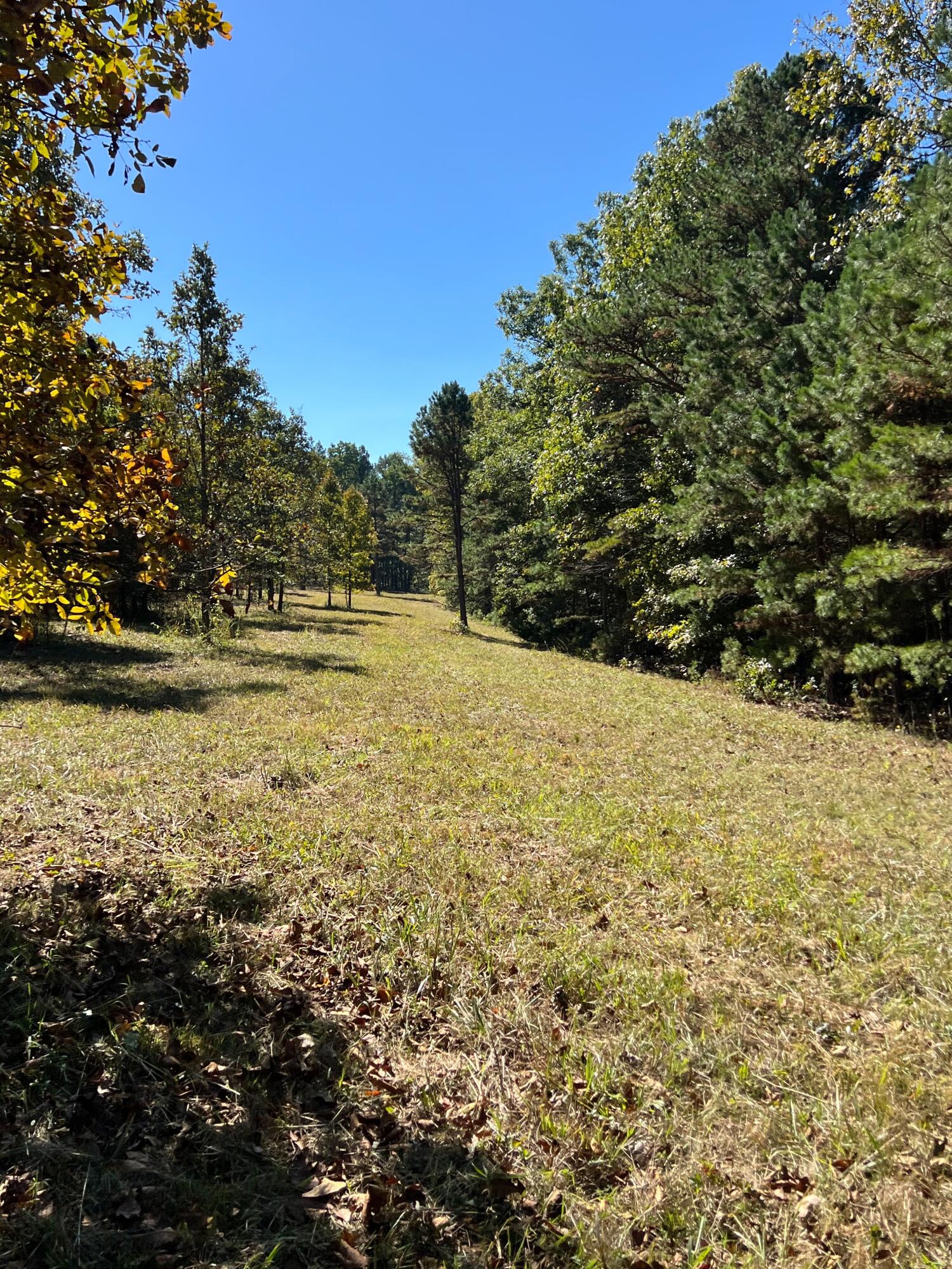Photo 88 - Land for sale – 34771  Mo-14   Ava, MO