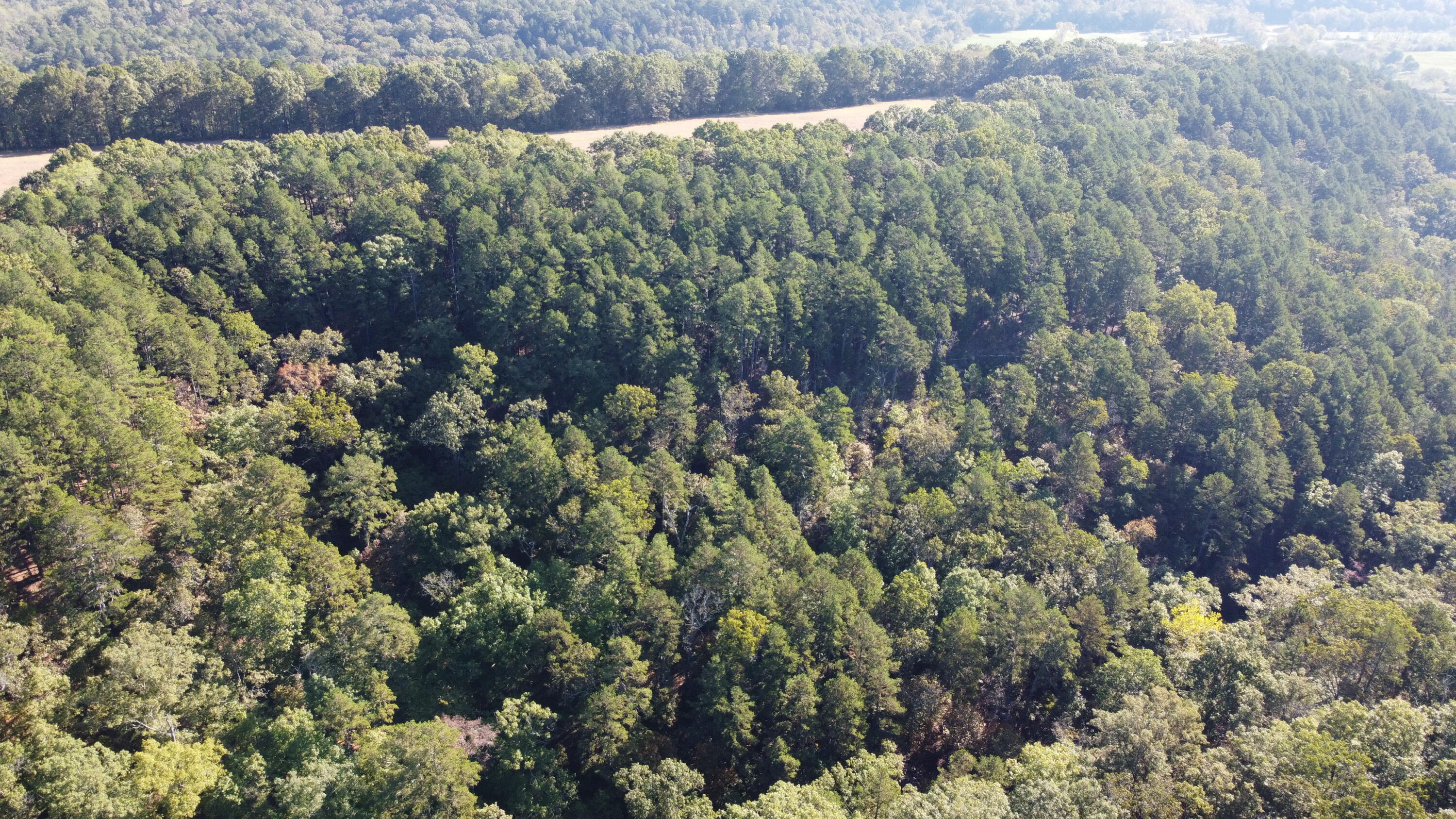 Photo 19 - Land for sale – 34771  Mo-14   Ava, MO