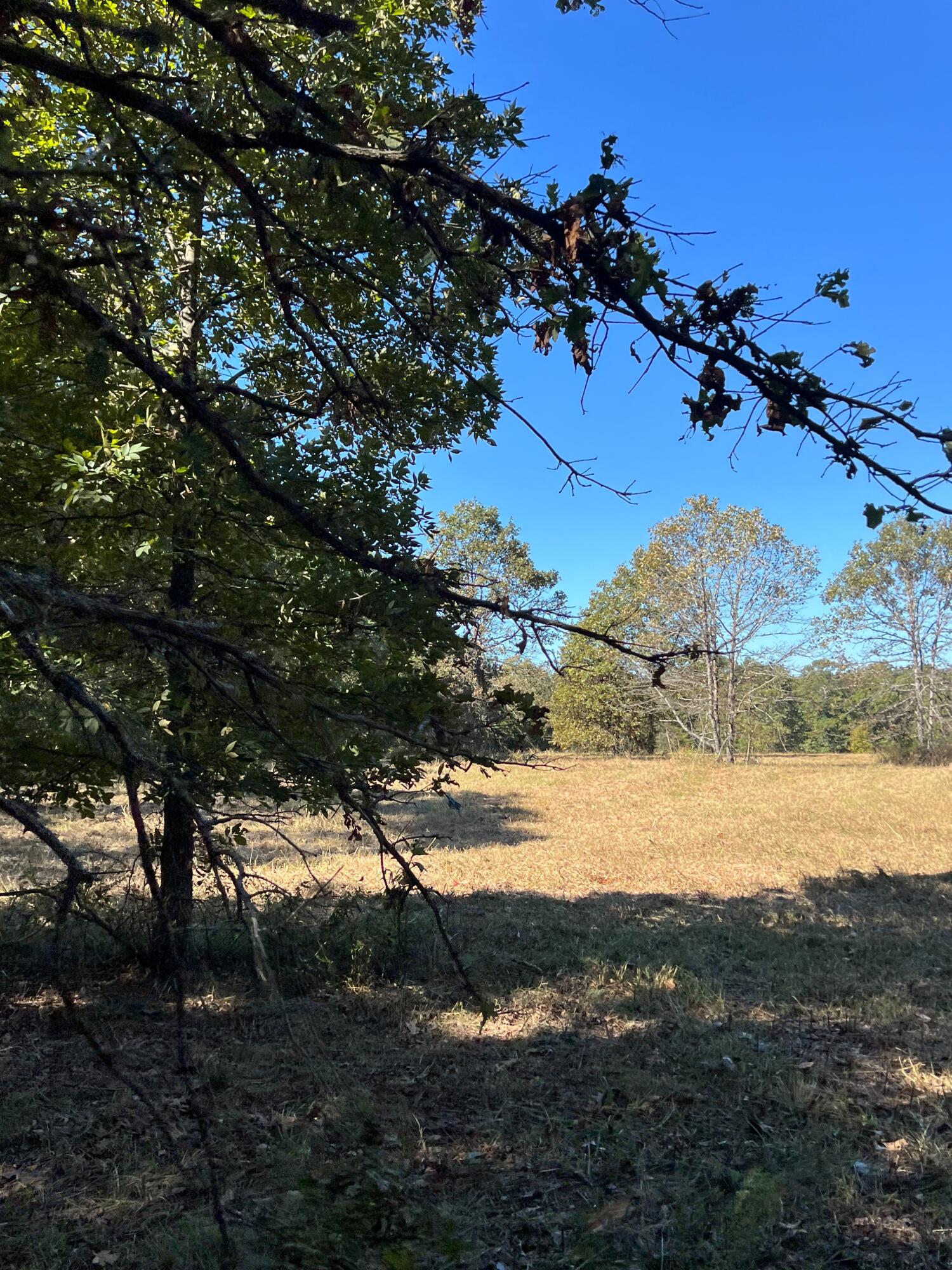 Photo 123 - Land for sale – 34771  Mo-14   Ava, MO