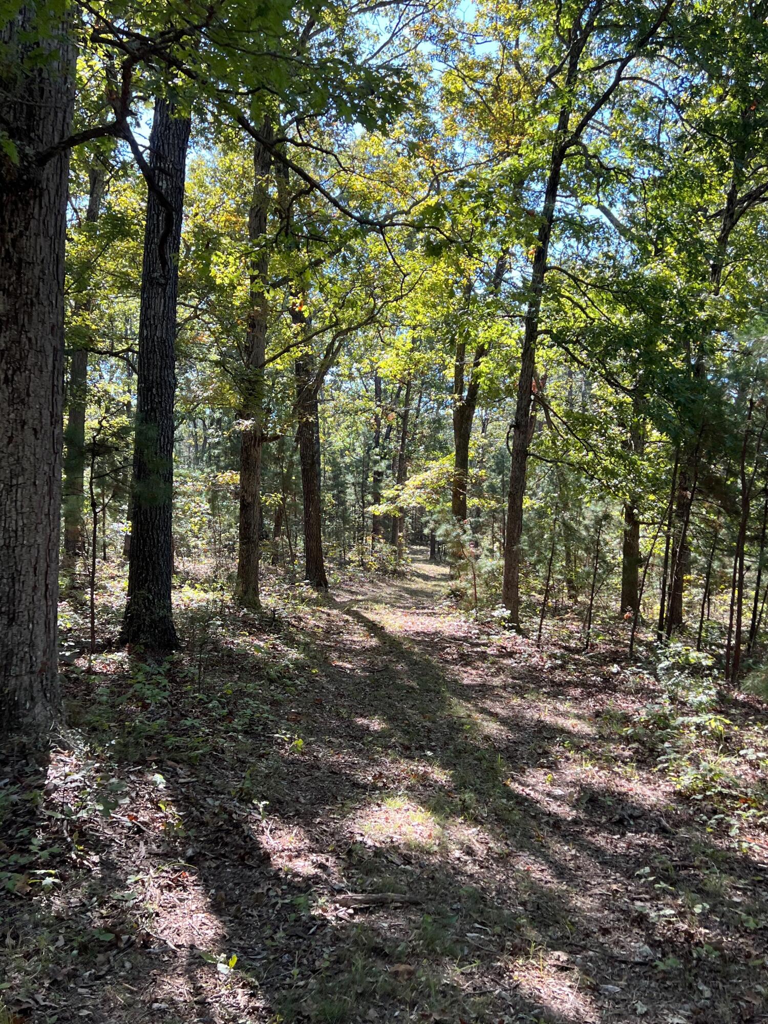 Photo 122 - Land for sale – 34771  Mo-14   Ava, MO