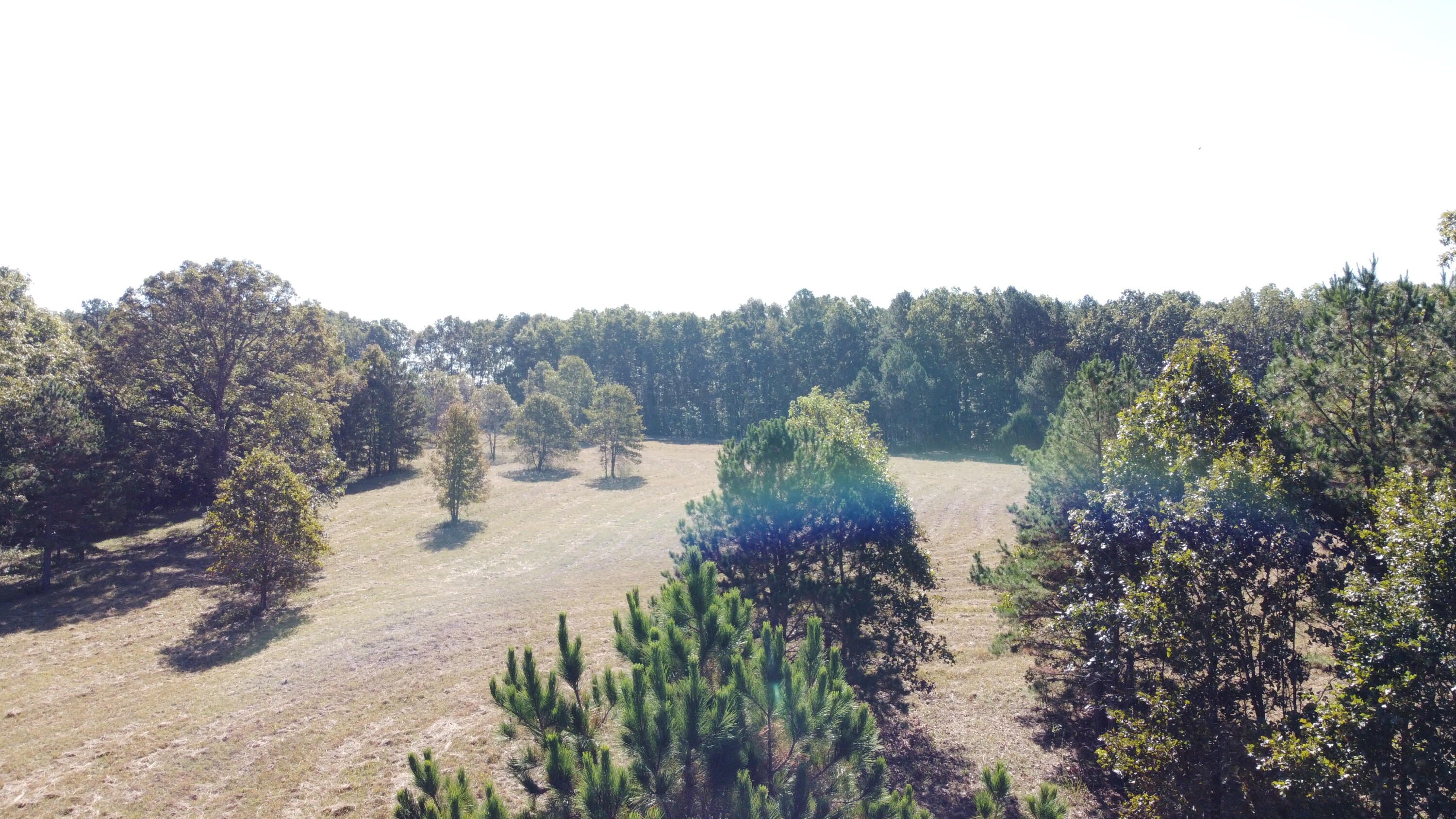 Photo 54 - Land for sale – 34771  Mo-14   Ava, MO