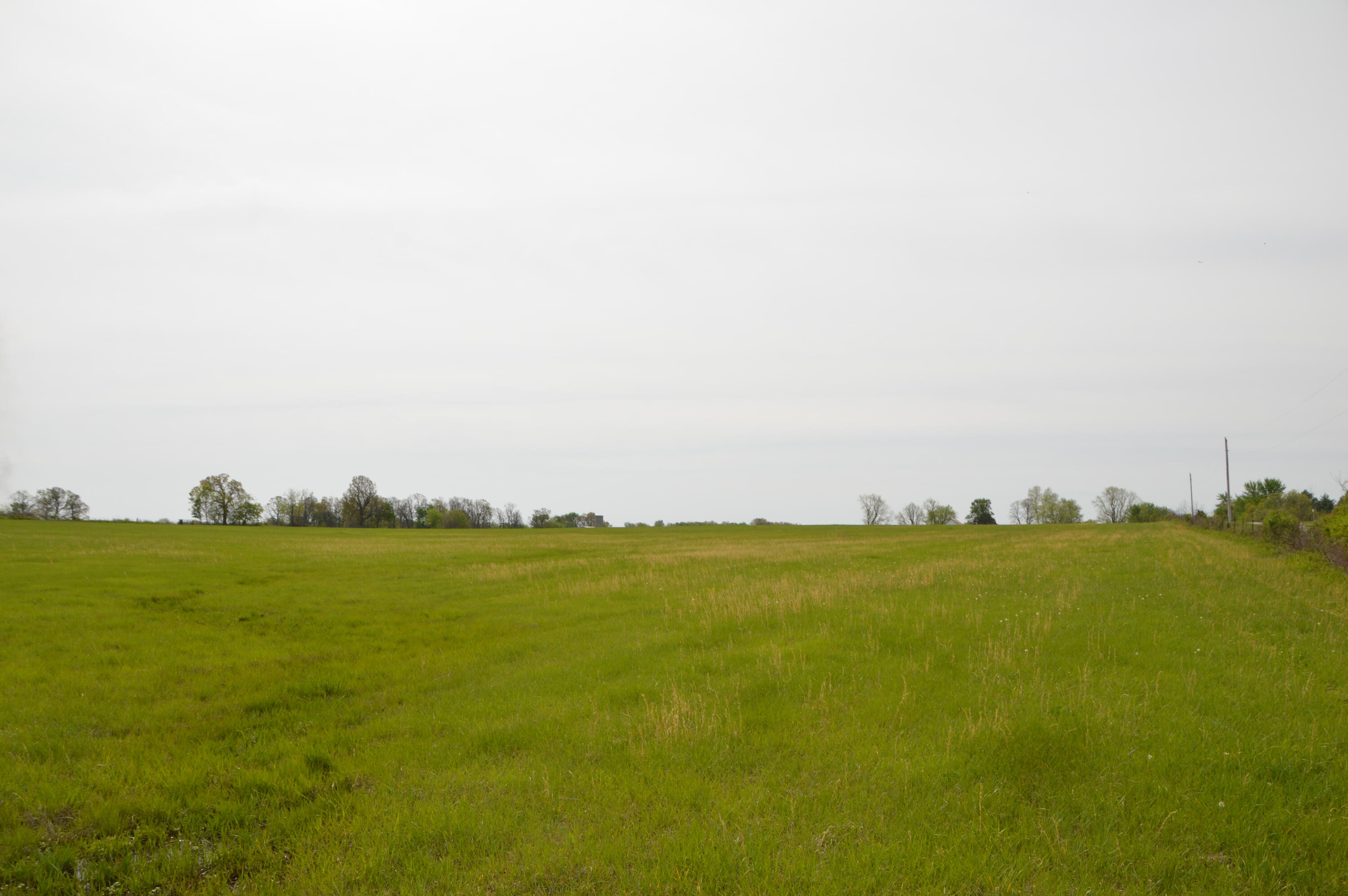 Photo 4 - Land for sale – 000 N State Highway Uu: Lot 3   Bois D Arc, MO