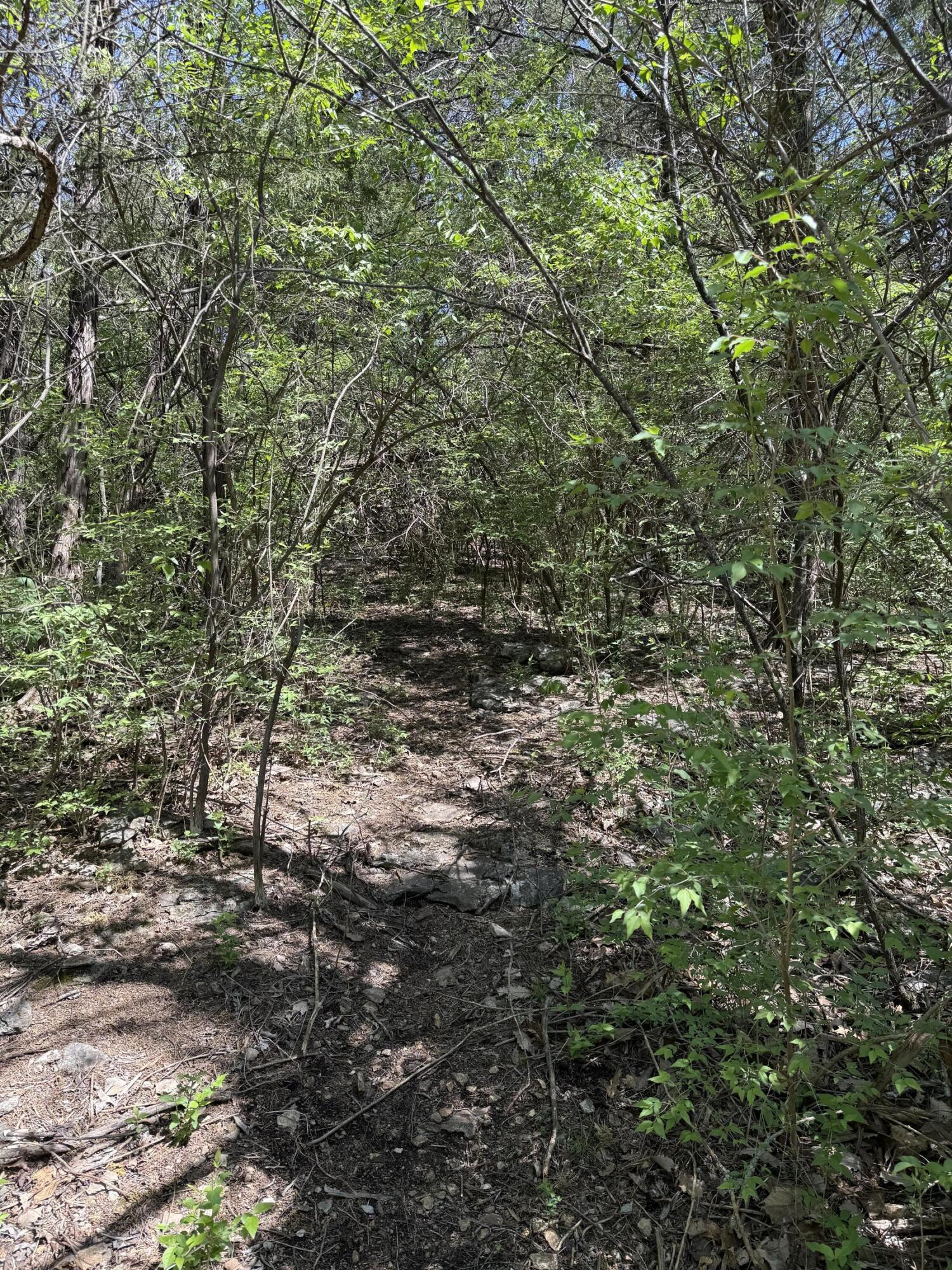 Photo 5 - Land for sale – 2801 W Oxbow Lane  Springfield, MO