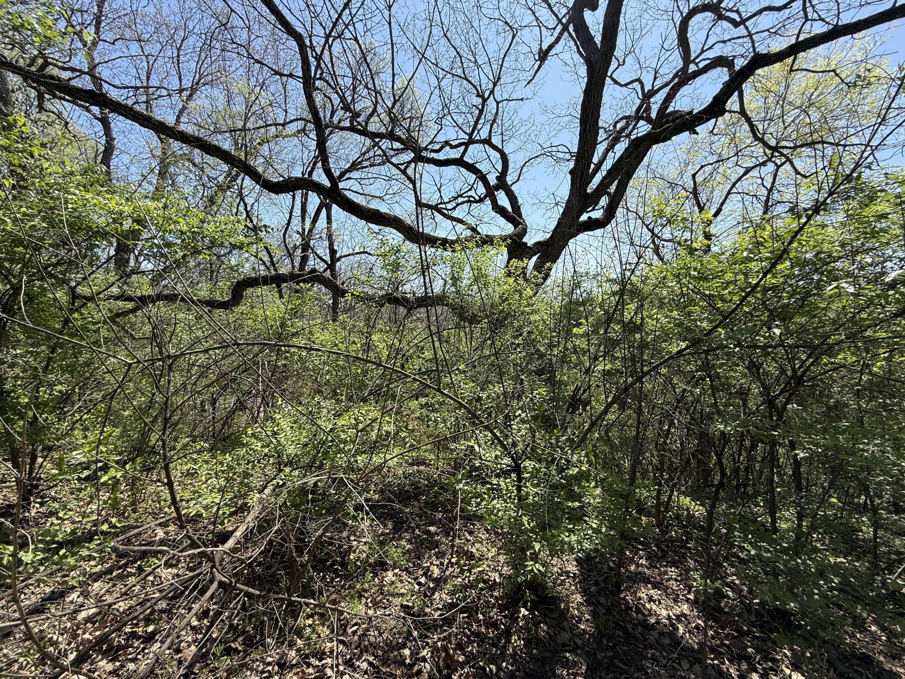 Photo 4 - Land for sale – 2801 W Oxbow Lane  Springfield, MO