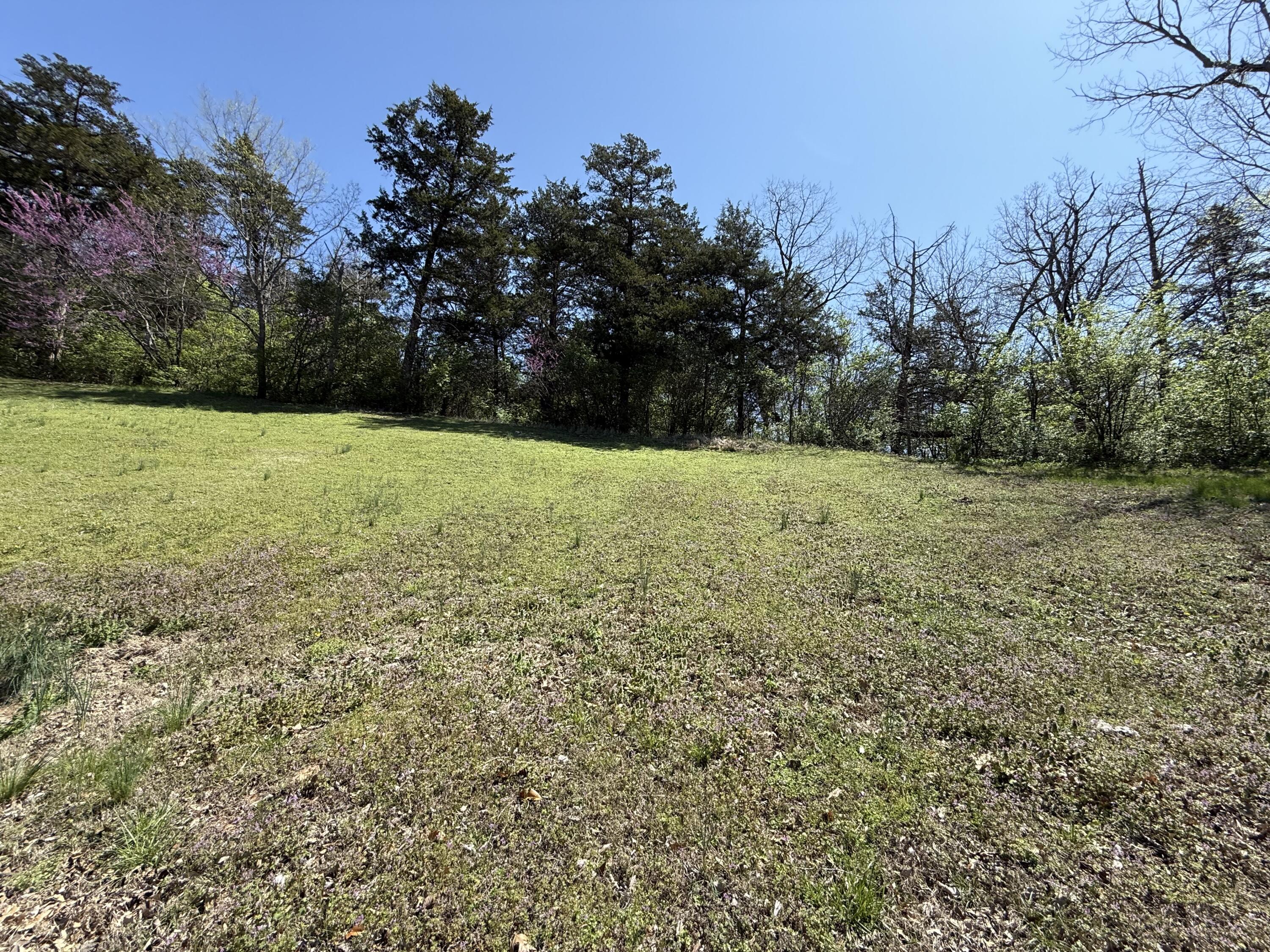 Photo 3 - Land for sale – 2801 W Oxbow Lane  Springfield, MO