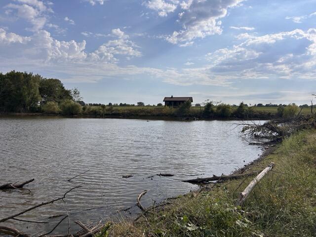 Photo 29 - Farm for sale – 13786  County Road 270   Webb City, MO