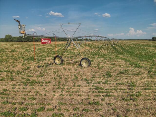 Photo 51 - Farm for sale – 13786  County Road 270   Webb City, MO