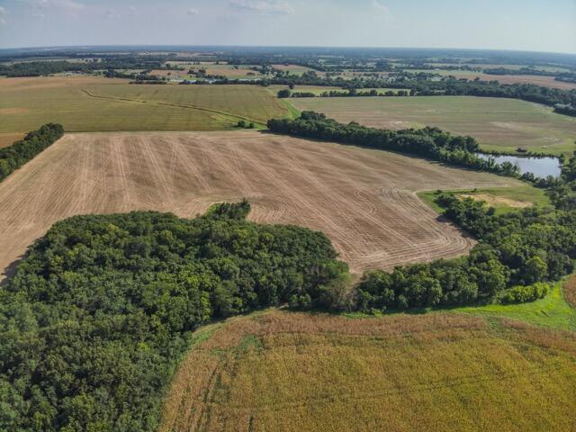 Photo 33 - Farm for sale – 13786  County Road 270   Webb City, MO