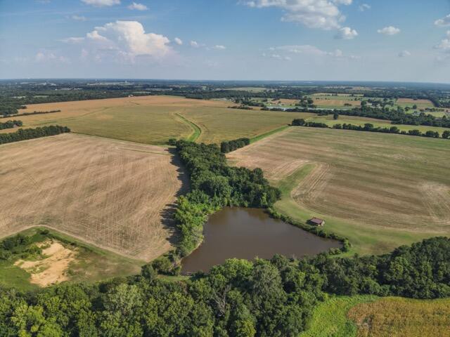 Photo 36 - Farm for sale – 13786  County Road 270   Webb City, MO