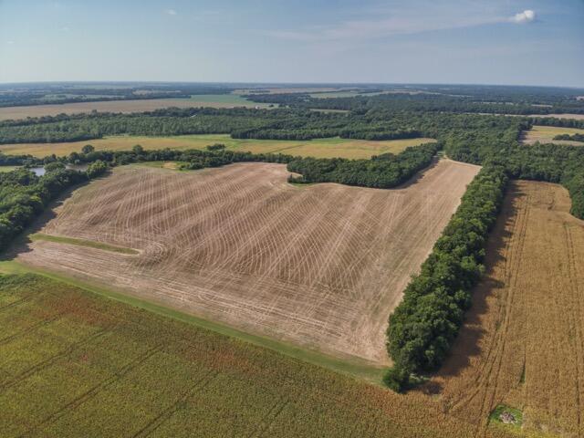 Photo 30 - Farm for sale – 13786  County Road 270   Webb City, MO