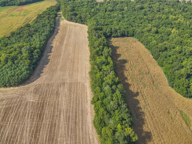 Photo 31 - Farm for sale – 13786  County Road 270   Webb City, MO