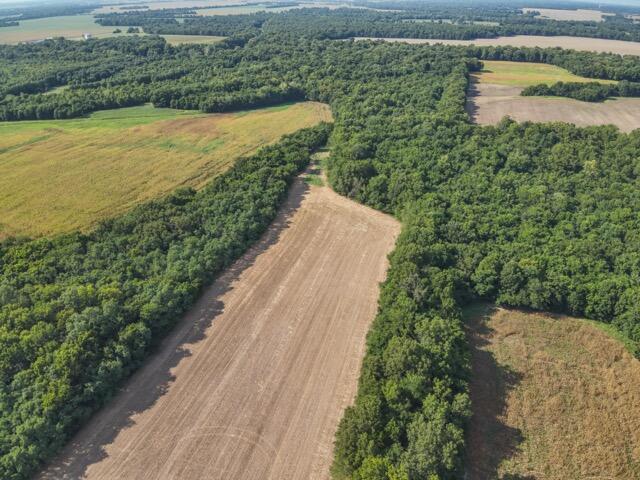 Photo 32 - Farm for sale – 13786  County Road 270   Webb City, MO