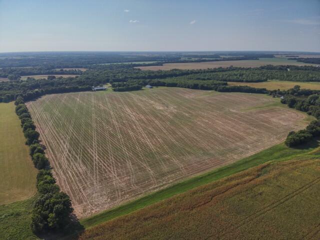 Photo 41 - Farm for sale – 13786  County Road 270   Webb City, MO