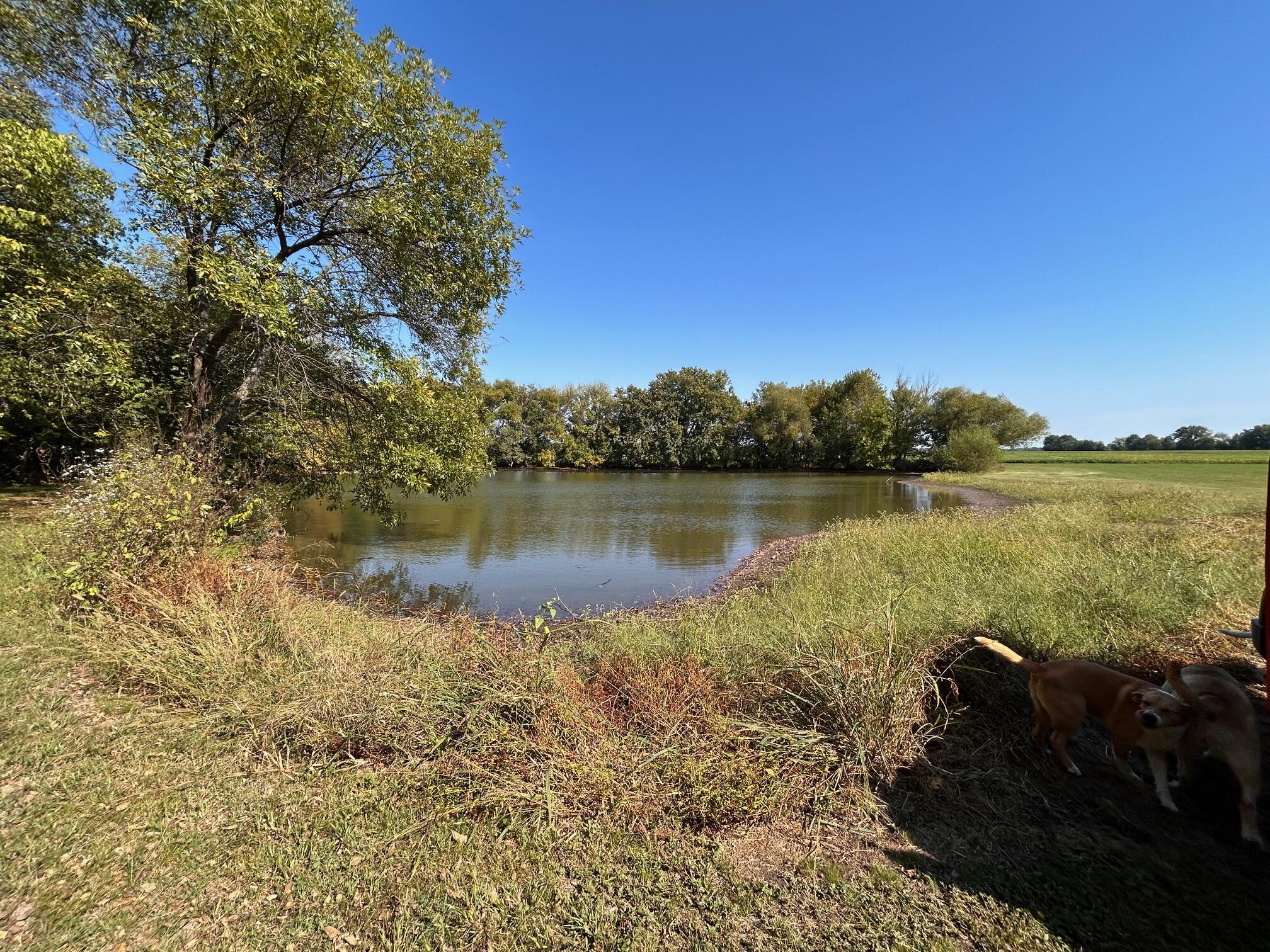 Photo 21 - Farm for sale – 13786  County Road 270   Webb City, MO