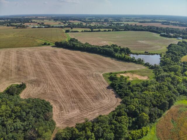 Photo 34 - Farm for sale – 13786  County Road 270   Webb City, MO