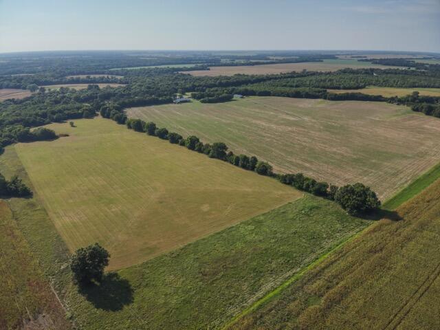Photo 42 - Farm for sale – 13786  County Road 270   Webb City, MO