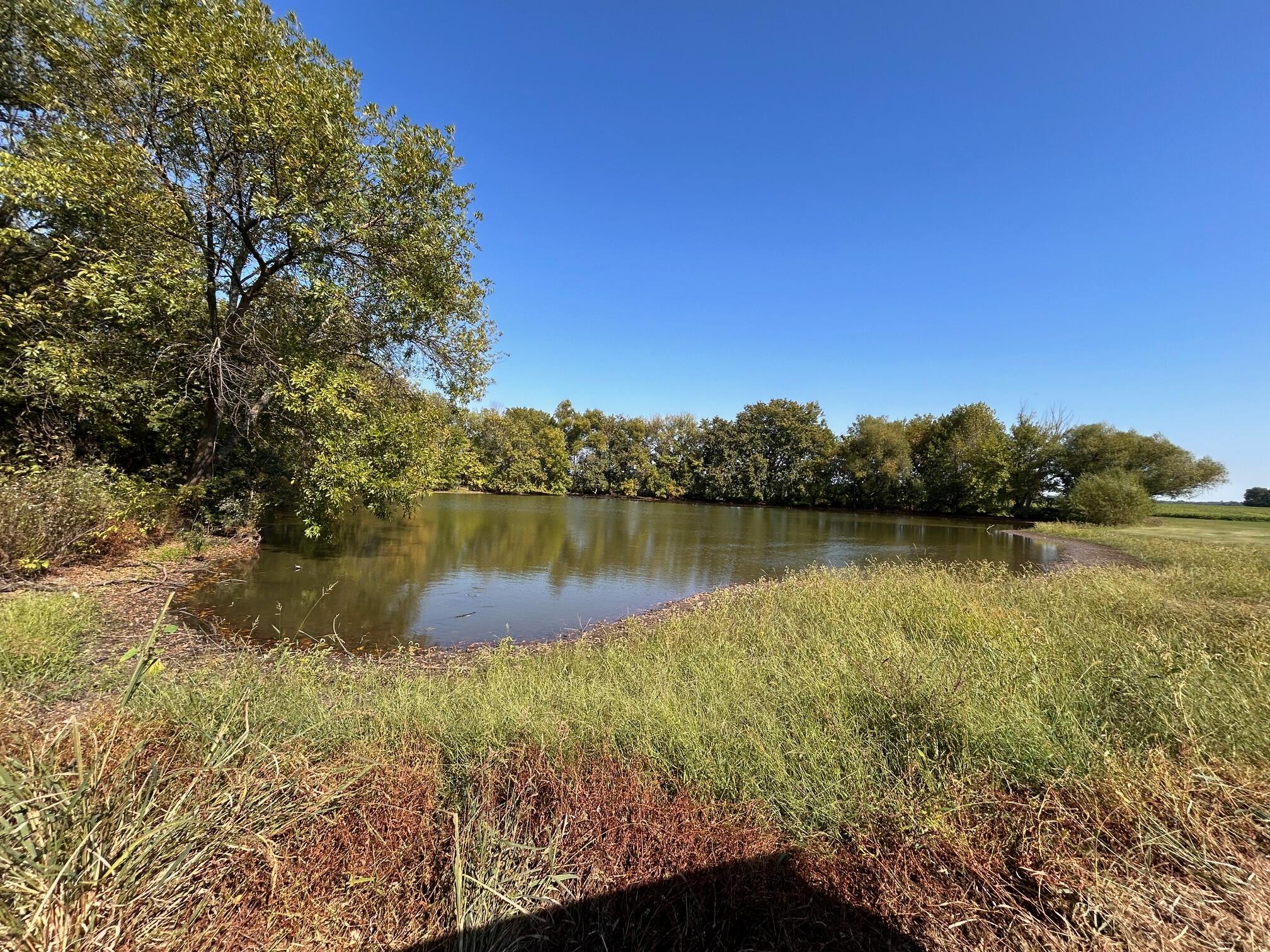 Photo 23 - Farm for sale – 13786  County Road 270   Webb City, MO