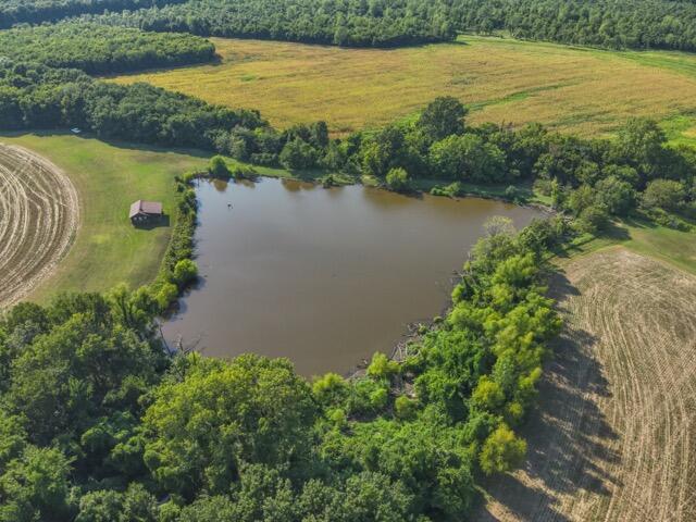 Photo 37 - Farm for sale – 13786  County Road 270   Webb City, MO