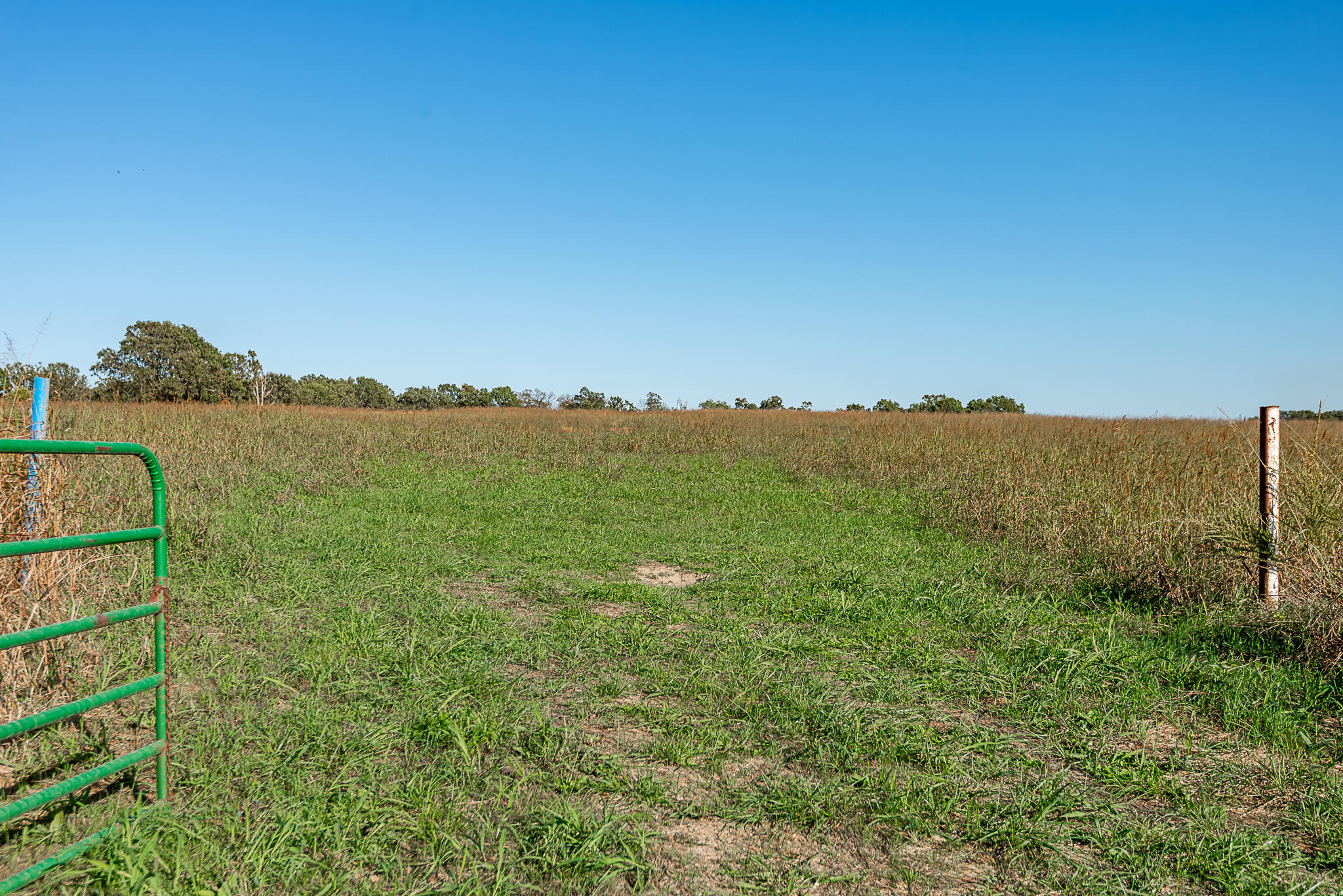 Photo 85 - Land for sale – 18007  Norton Drive  Phillipsburg, MO