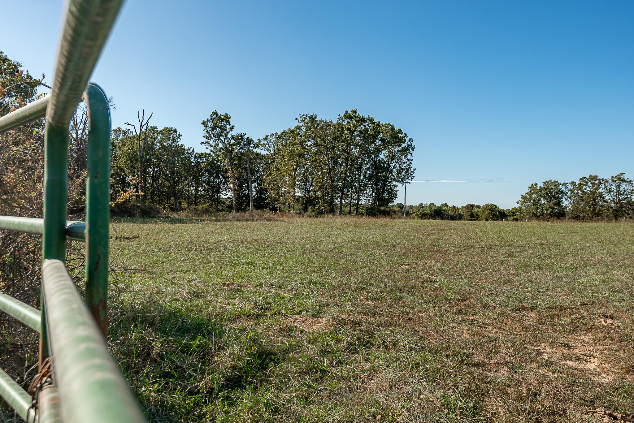 Photo 80 - Land for sale – 18007  Norton Drive  Phillipsburg, MO