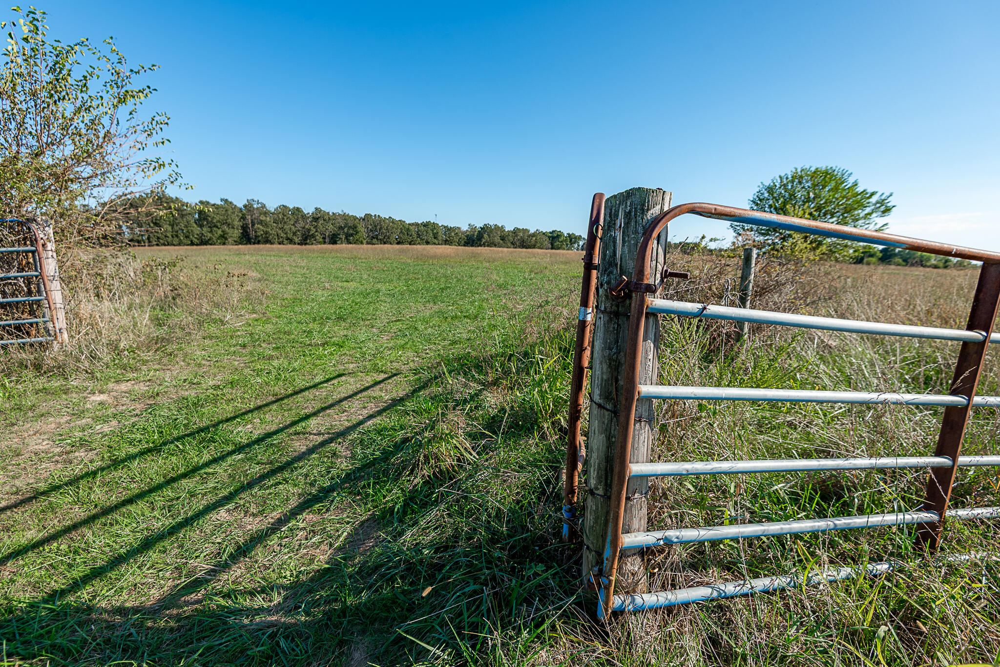 Photo 68 - Land for sale – 18007  Norton Drive  Phillipsburg, MO