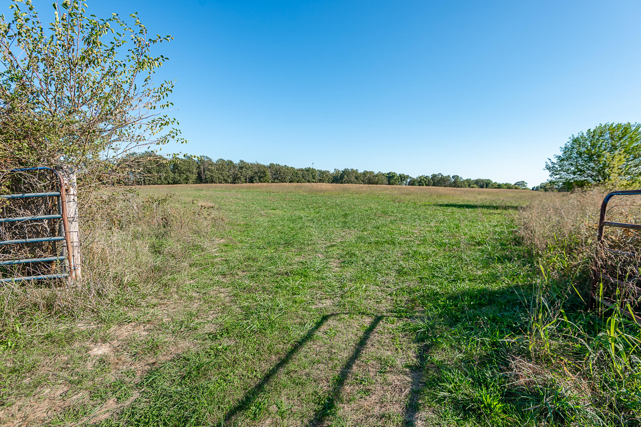 Photo 69 - Land for sale – 18007  Norton Drive  Phillipsburg, MO