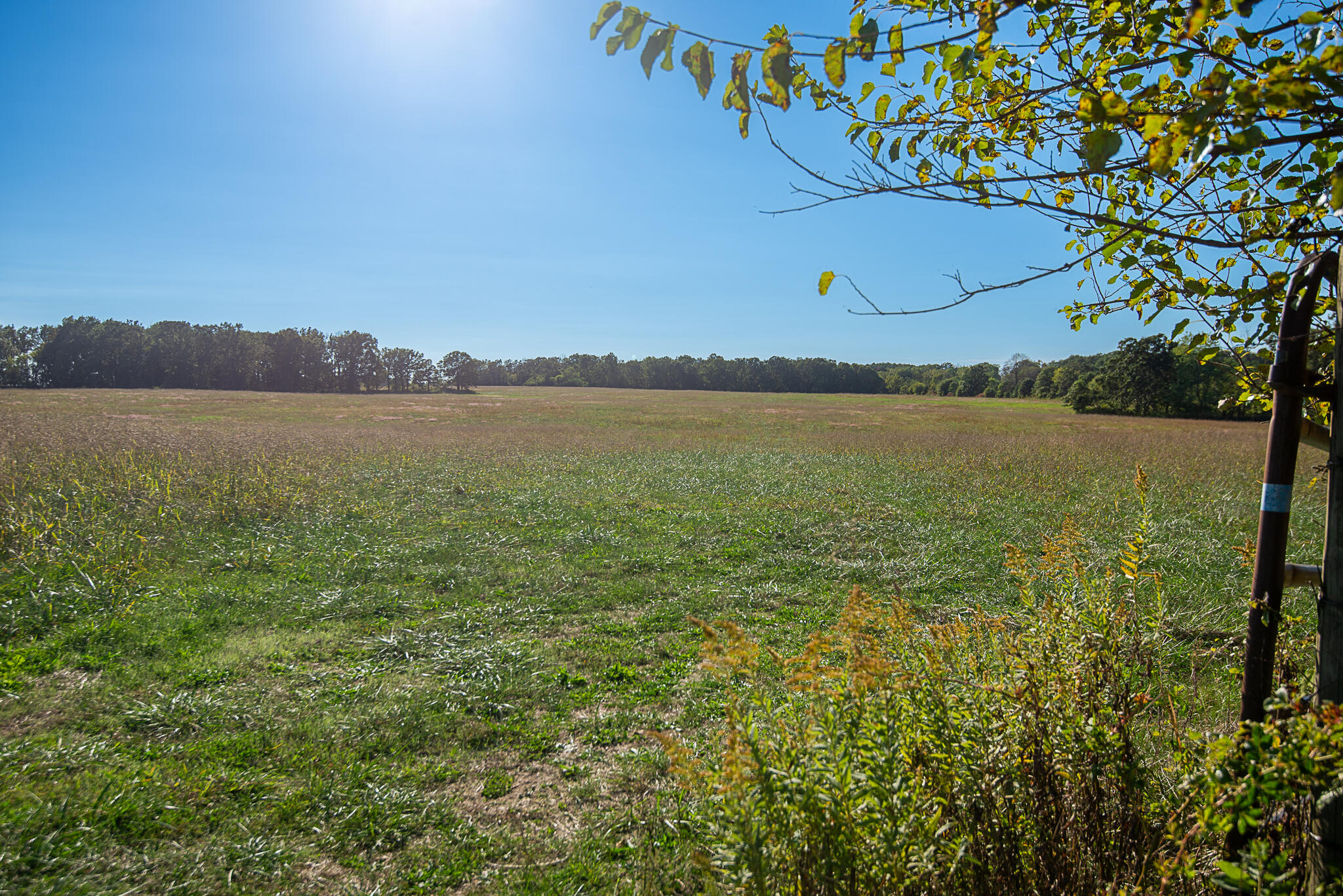 Photo 64 - Land for sale – 18007  Norton Drive  Phillipsburg, MO