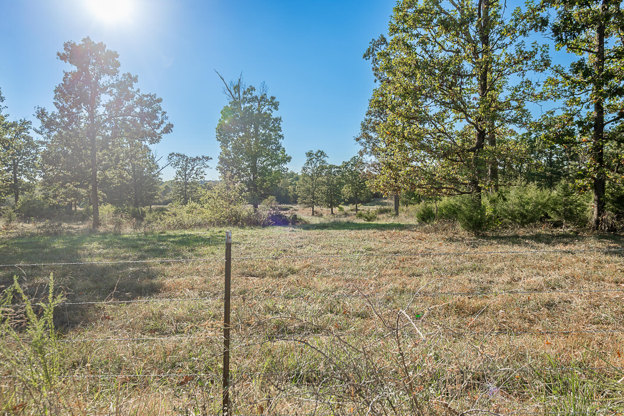 Photo 82 - Land for sale – 18007  Norton Drive  Phillipsburg, MO