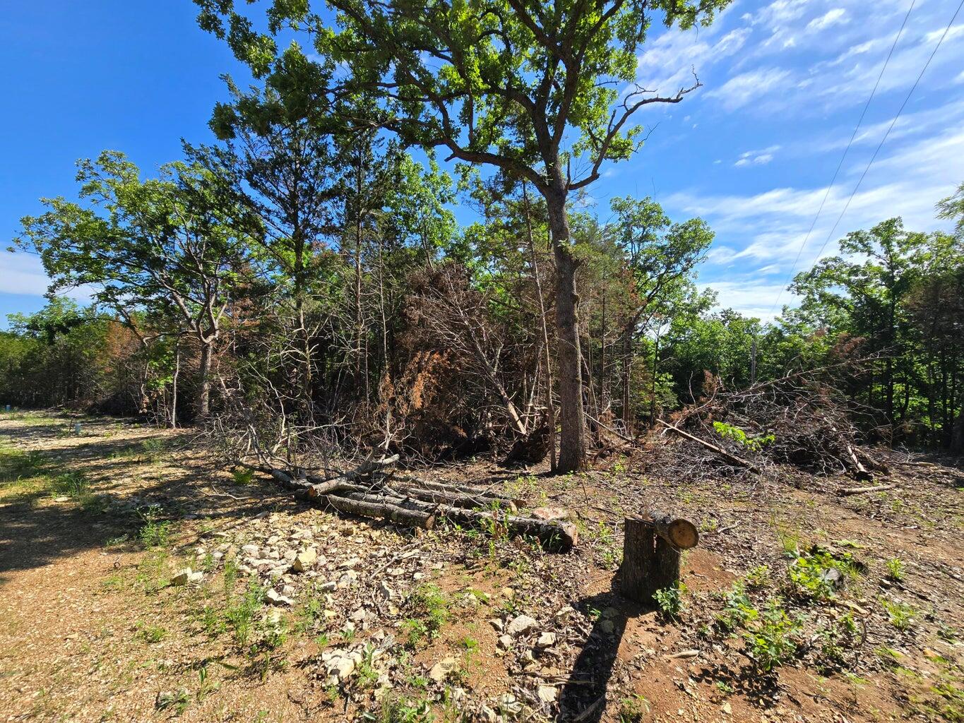 Photo 2 - Land for sale – 11111  Tall Oaks   Pittsburg, MO