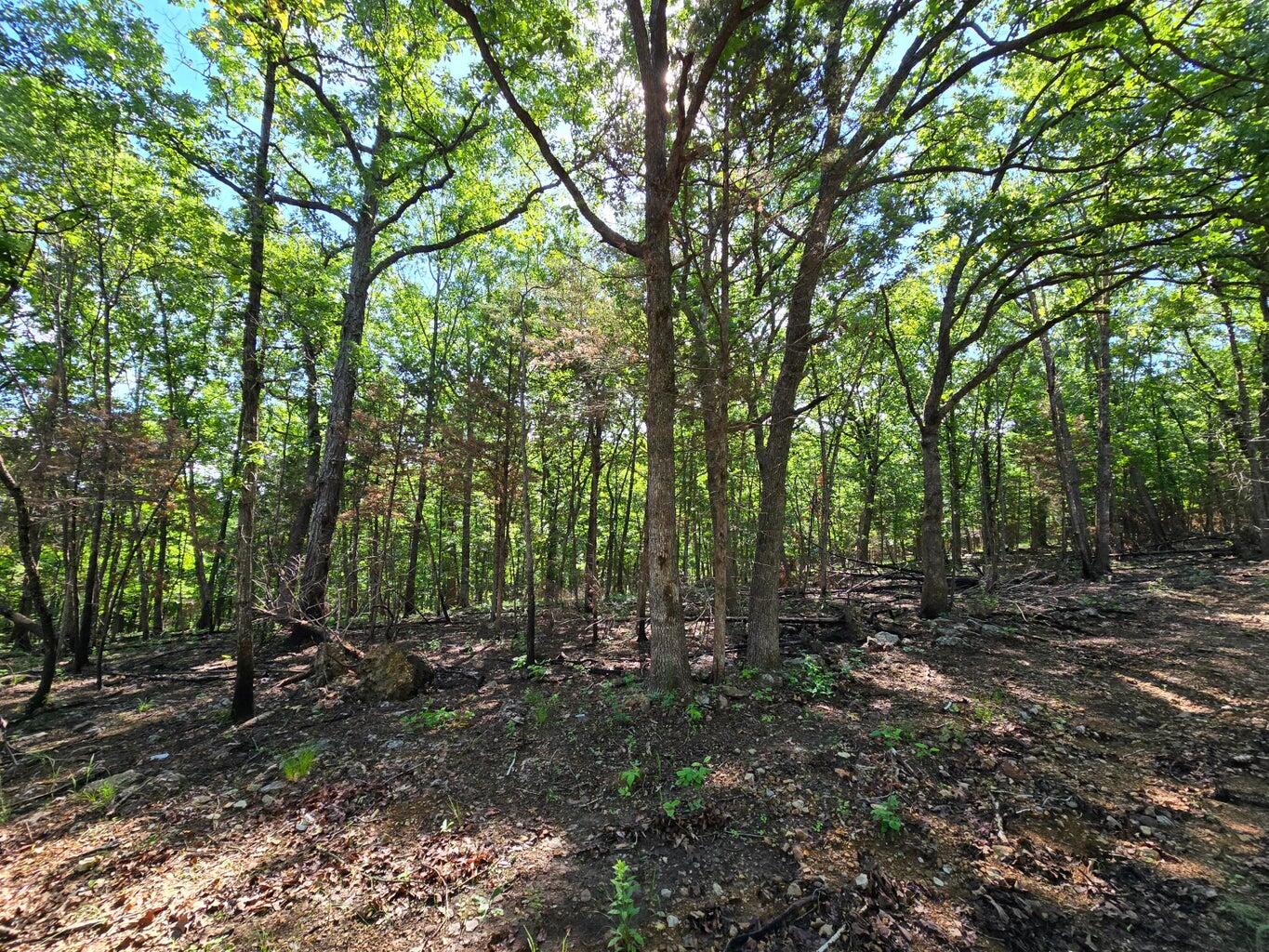 Photo 4 - Land for sale – 11111  Tall Oaks   Pittsburg, MO