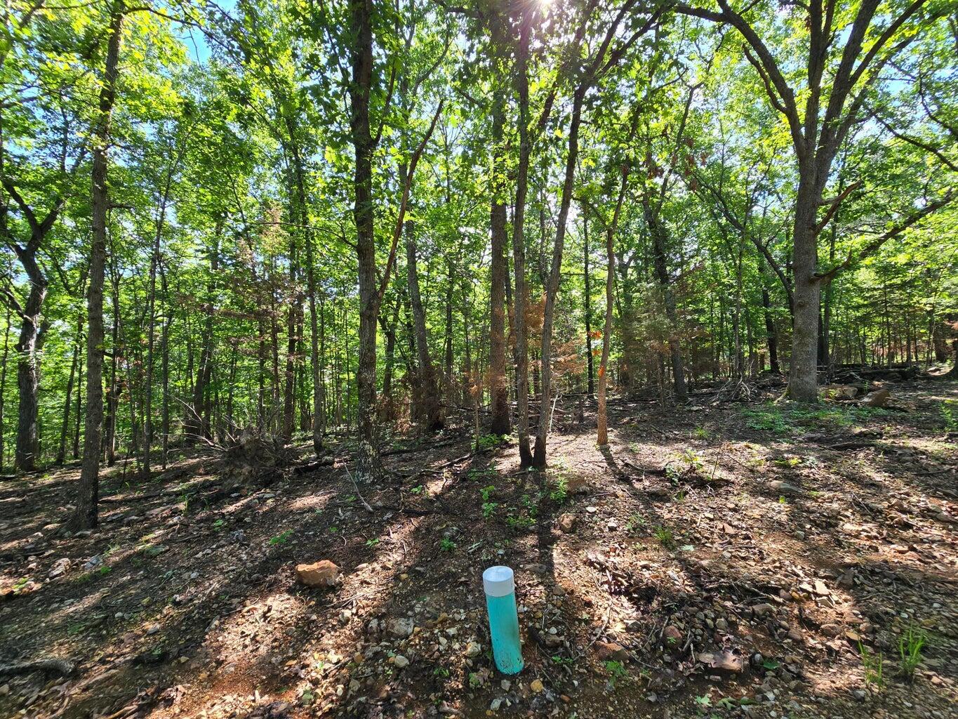 Photo 3 - Land for sale – 11111  Tall Oaks   Pittsburg, MO