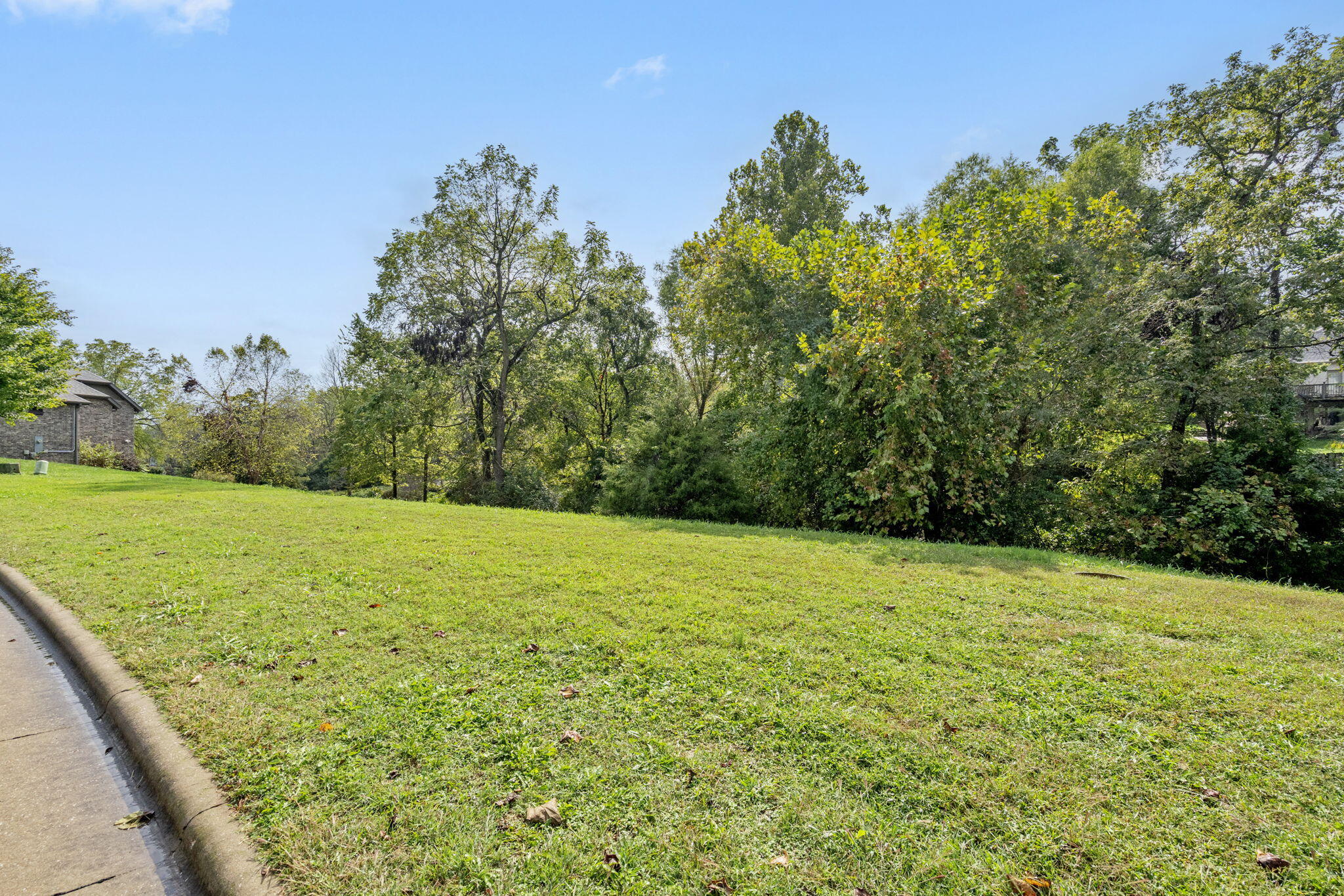 Photo 5 - Land for sale – 2460 E German Ivy   Springfield, MO