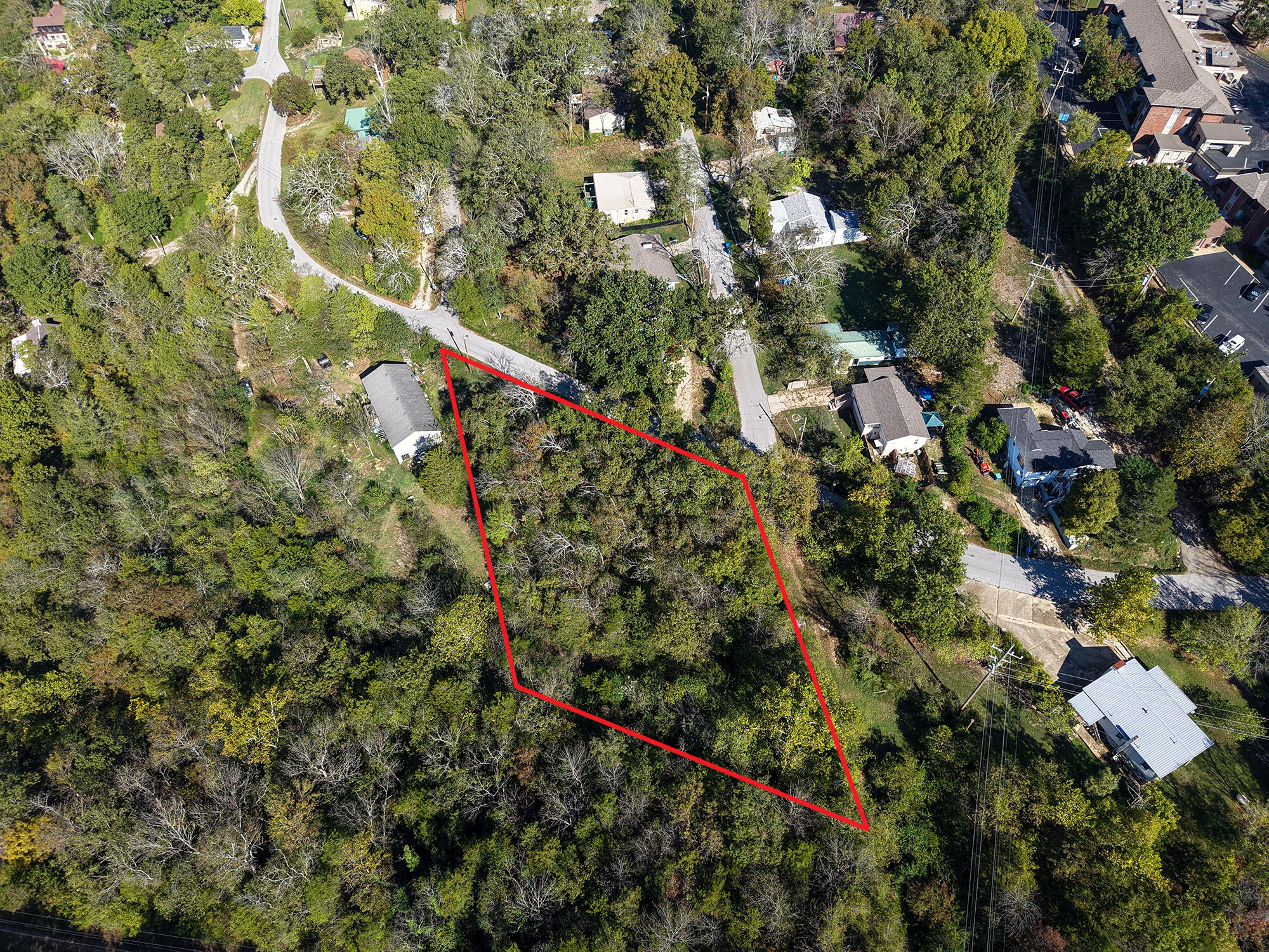 Photo 9 - Land for sale – 290  Atchison Avenue  Forsyth, MO