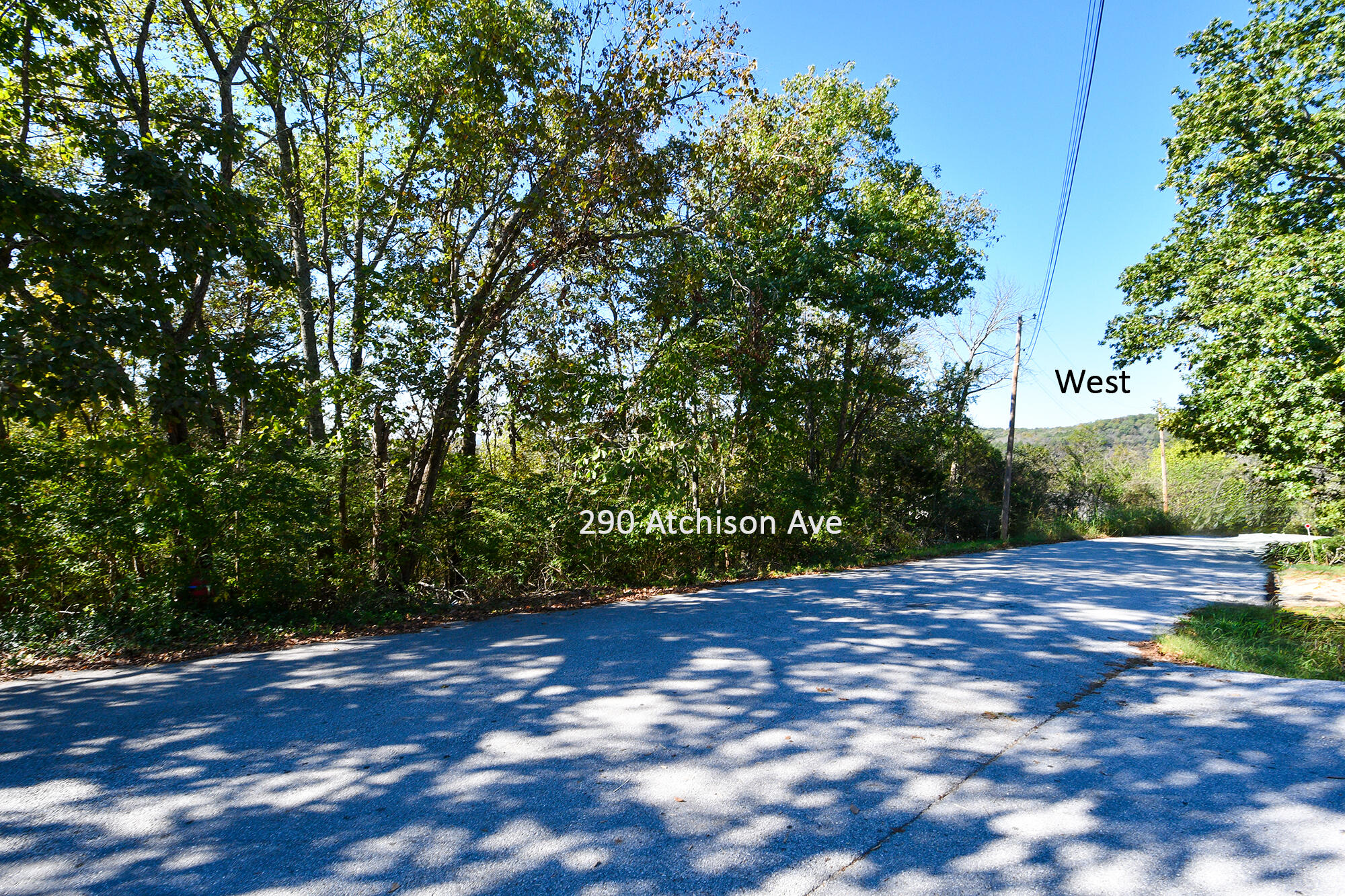 Photo 4 - Land for sale – 290  Atchison Avenue  Forsyth, MO