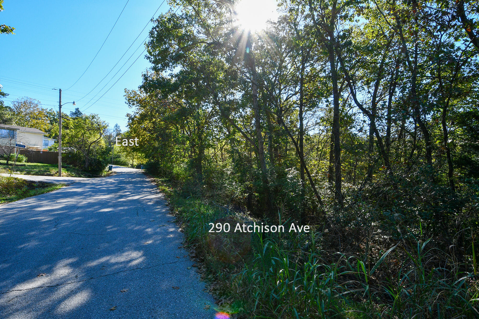 Photo 3 - Land for sale – 290  Atchison Avenue  Forsyth, MO