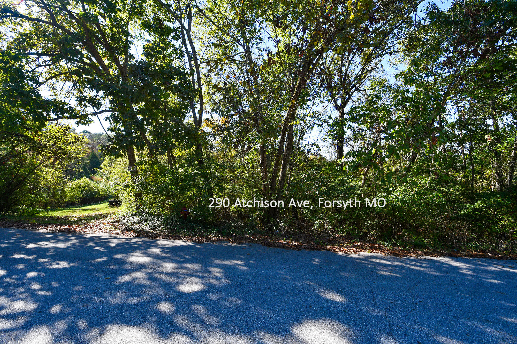 Photo 2 - Land for sale – 290  Atchison Avenue  Forsyth, MO