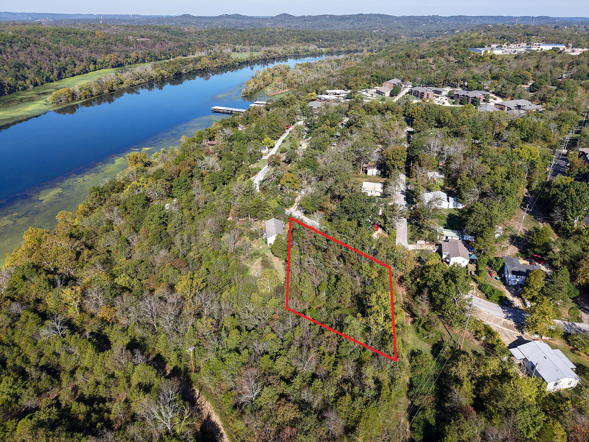 Photo 8 - Land for sale – 290  Atchison Avenue  Forsyth, MO