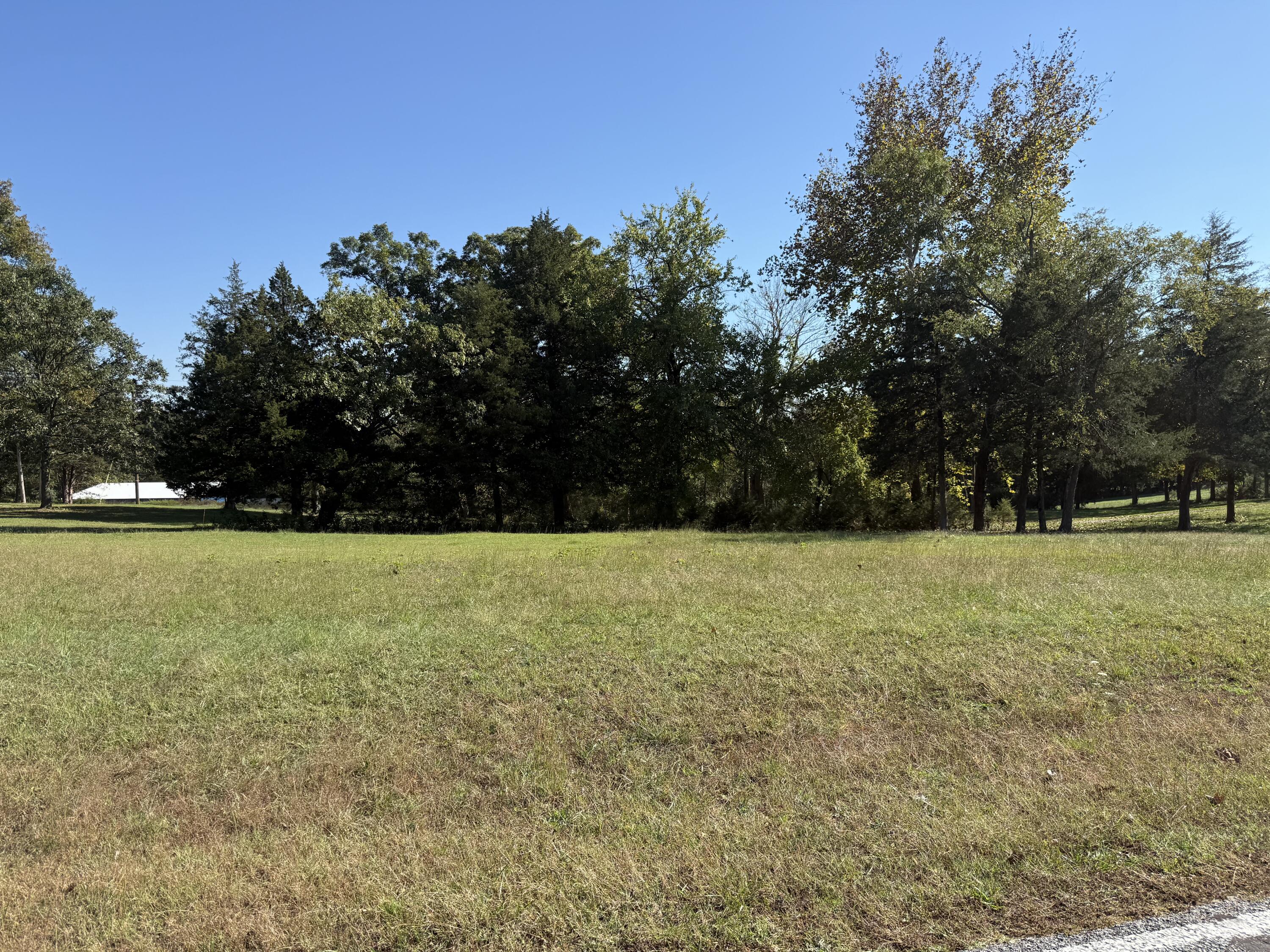 Photo 3 - Land for sale – Tbd  Fairway Dr   Shell Knob, MO
