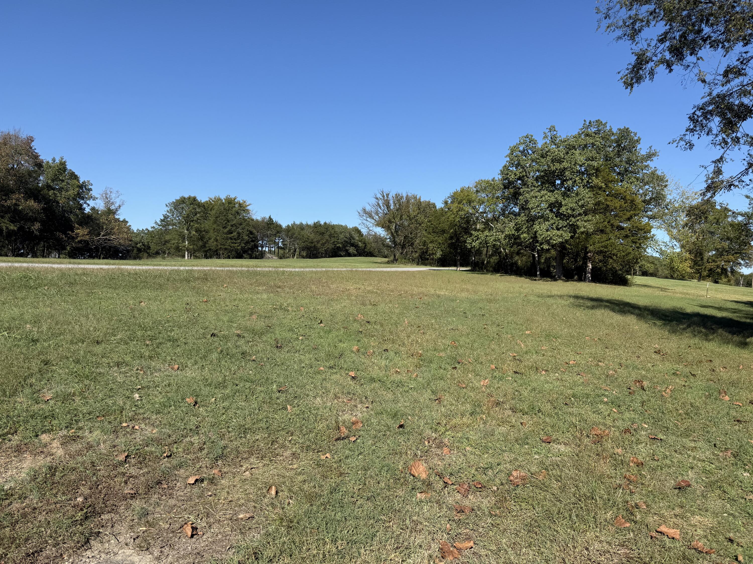 Photo 8 - Land for sale – Tbd  Fairway Dr   Shell Knob, MO