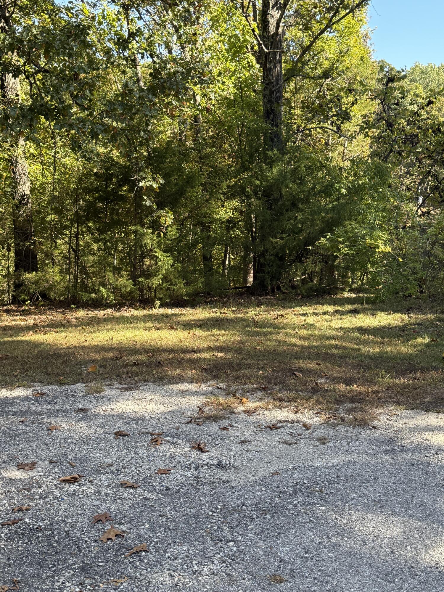 Photo 6 - Land for sale – 000  Farm Road 1263   Golden, MO