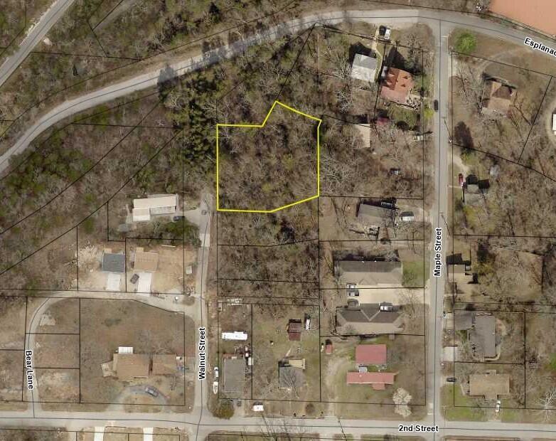 Photo 4 - Residential for sale – 418  Walnut Street  Hollister, MO