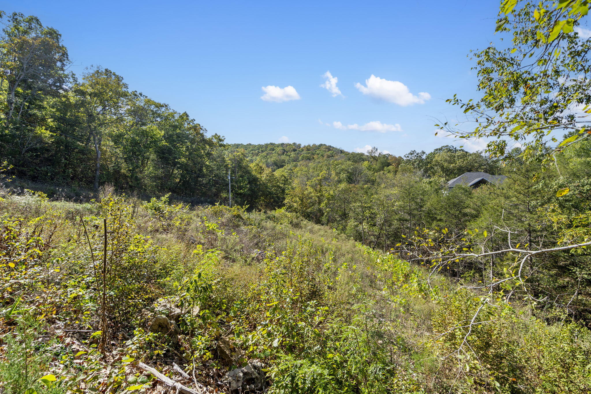 Photo 4 - Land for sale – 195  Kings Ridge Road  Cape Fair, MO