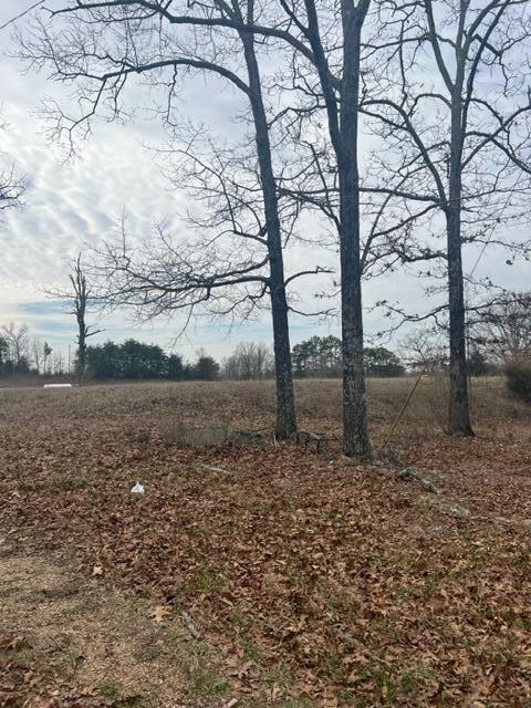 Photo 8 - Land for sale – 7645  Us-60   Mountain View, MO