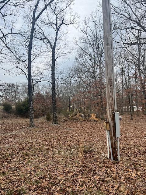 Photo 9 - Land for sale – 7645  Us-60   Mountain View, MO