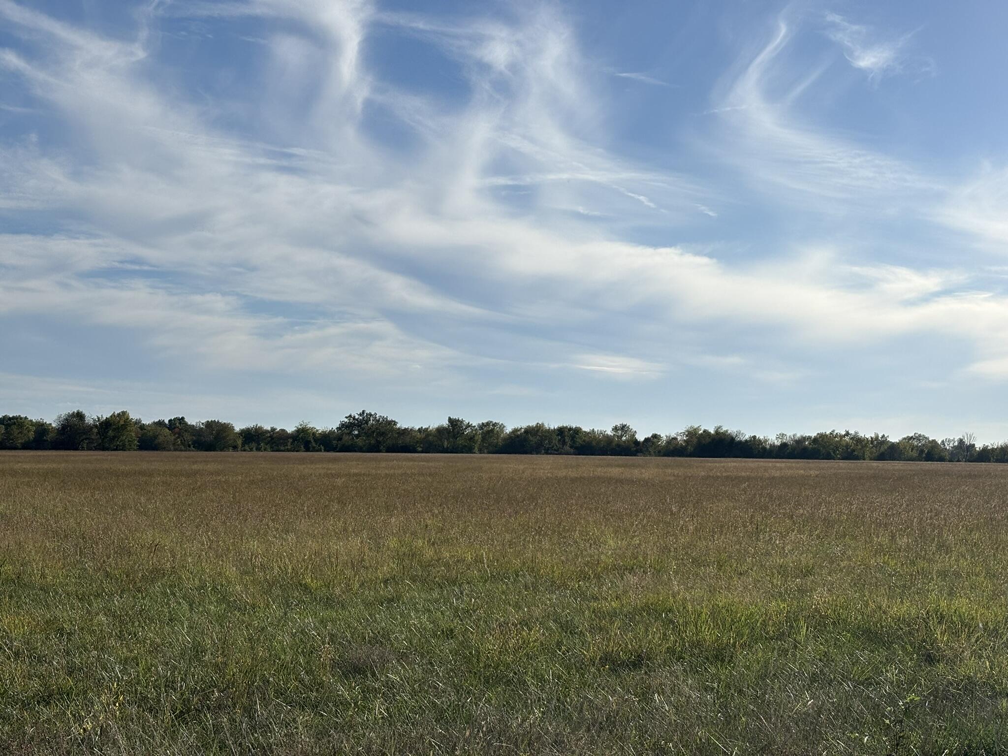 Photo 3 - Land for sale – 000 SE Black Jack Road  Baxter Springs, KS
