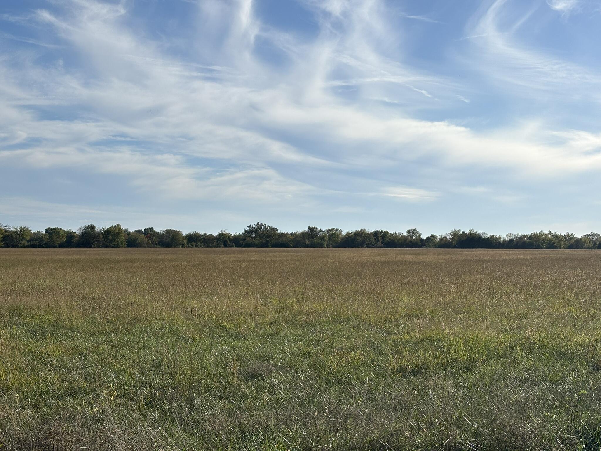 Photo 4 - Land for sale – 000 SE Black Jack Road  Baxter Springs, KS