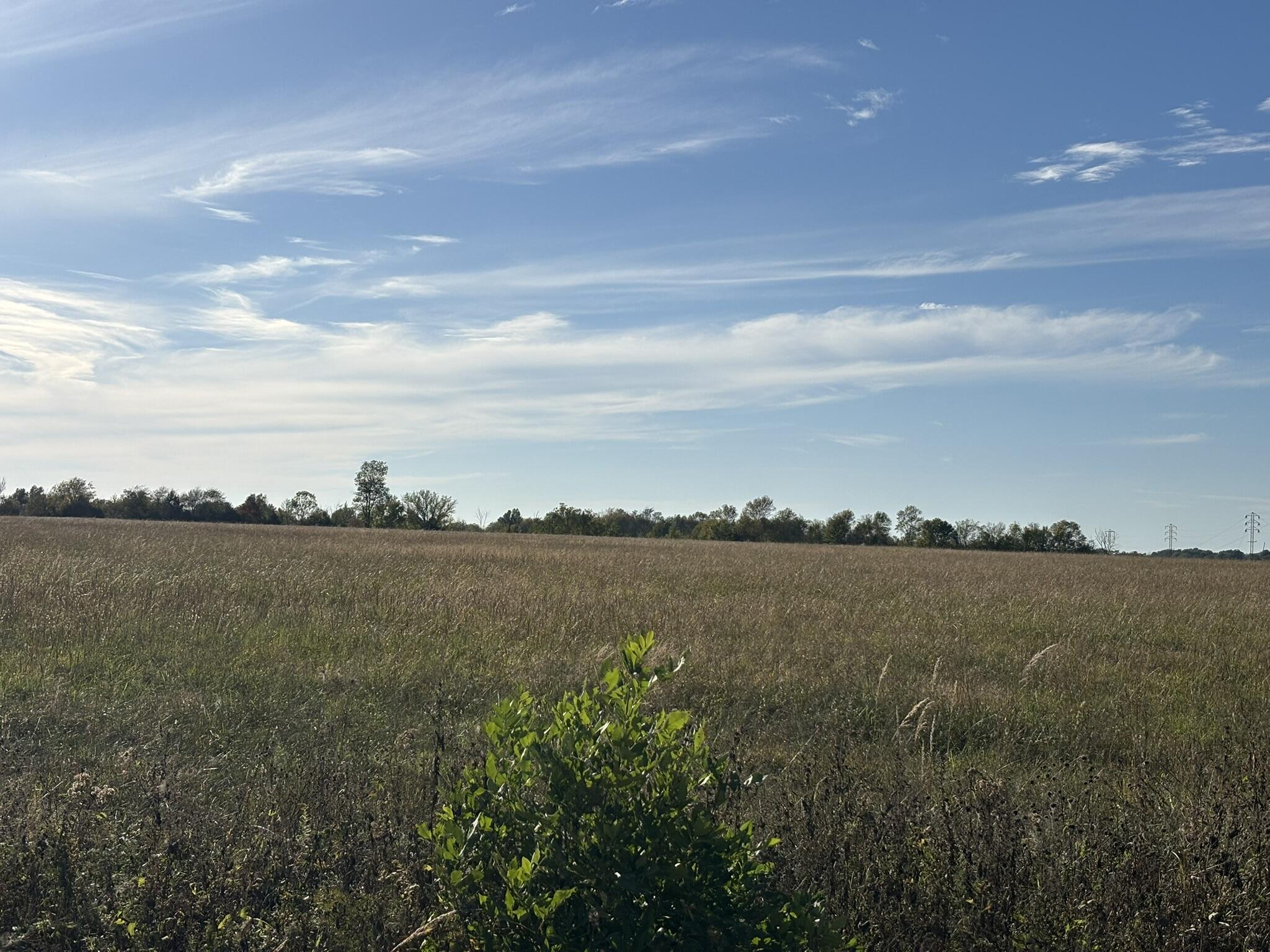 Photo 2 - Land for sale – 000 SE Black Jack Road  Baxter Springs, KS